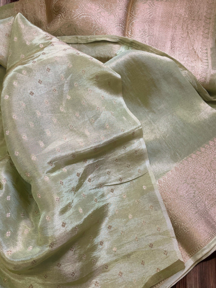 pastel green tissue silk saree